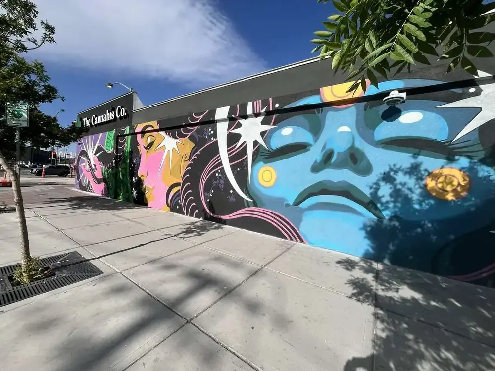 The Cannabis Co. Storefront
